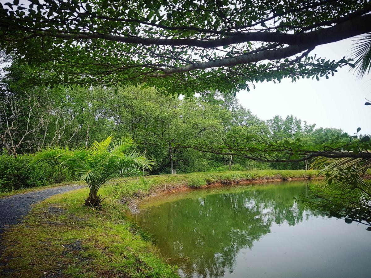 Calm At Bangphat Bor Saen Extérieur photo